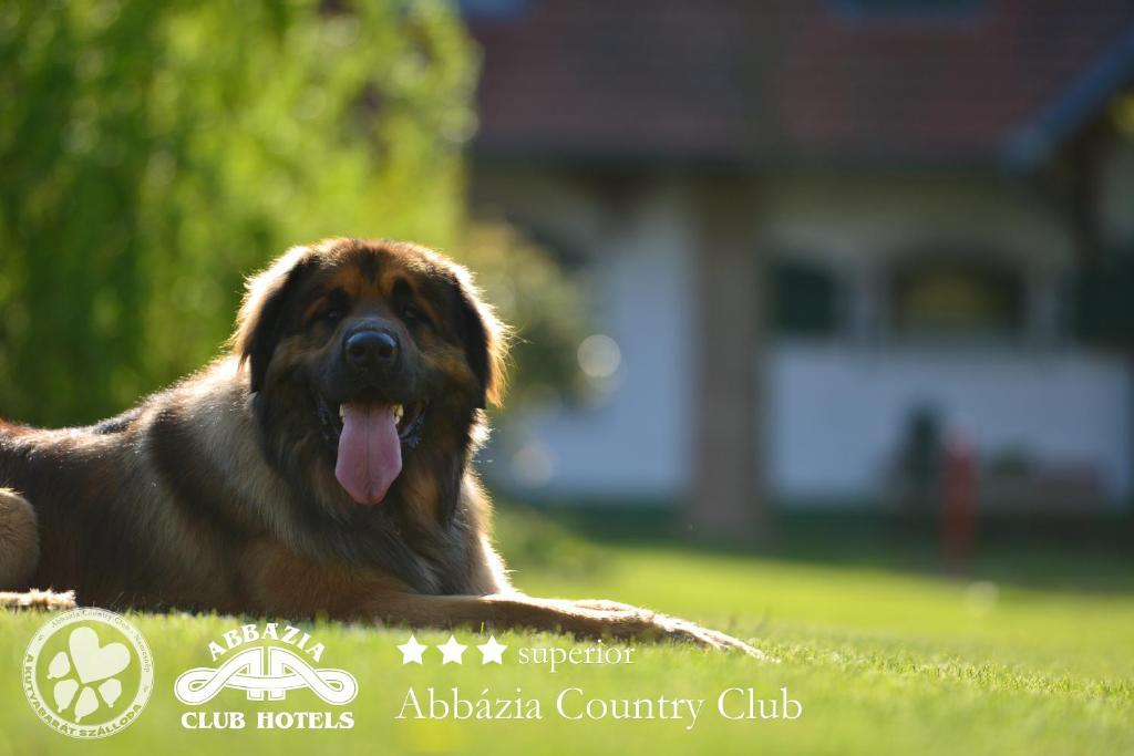 Abbazia Country Club Ξενοδοχείο Nemesnép Εξωτερικό φωτογραφία